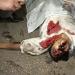 Maspero Massacre 10-2011