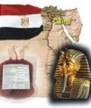 egypt_helth-sm.jpg