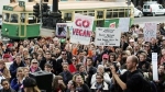 live-export-protest-300x168.jpg