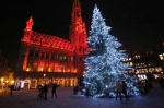 Brussels_Christmas_Tree_Lighted.jpg